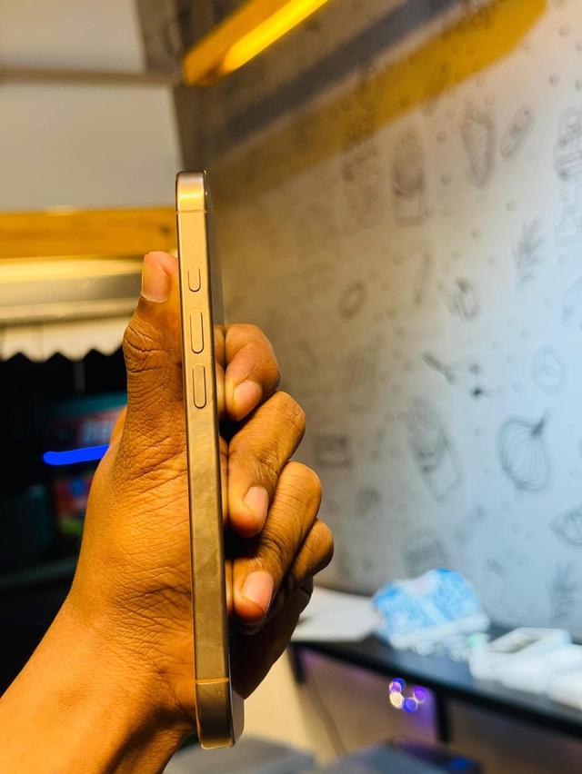 iPhone 16 pro สี Desert Titanium  7