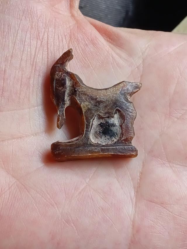 แพะ หลวงพ่ออ่ำ วัดหนองกระบอก รูปที่ 4