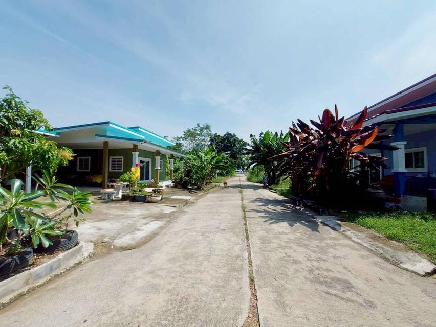 ขายบ้านชั้นเดียว ใกล้องค์การบริหารส่วนตำบลพืชอุดม 2