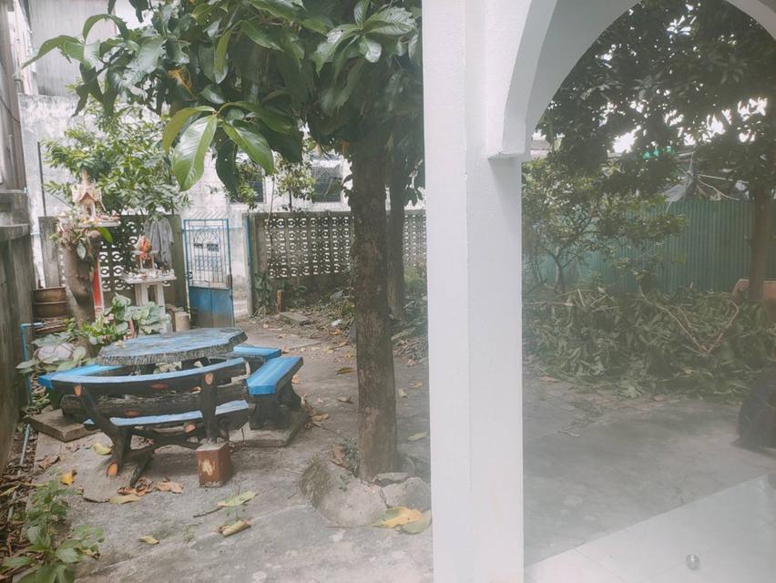 ขายบ้านเดียวพร้อมที่ดิน ราคาคุยกันได้ 12