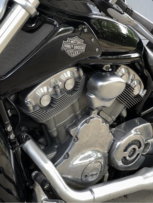 Harley Davidson VRod muscle 2012