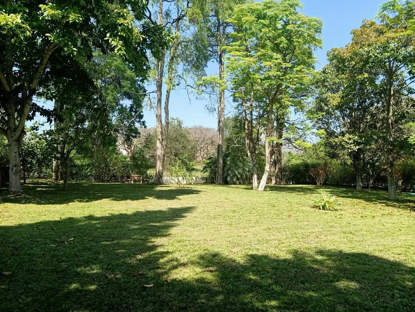 ขายบ้านริมทะเลสาปเขาใหญ่ 425 ตร.ว หมูสี ปากช่อง ธนรัชต์ ใกล้อุทยานแห่งชาติเขาใหญ่ โครงการดีวูดปาร์ค ติดธนะรัชต์ ใกล้มอเตอร์เวย์ ตลาดร้านค้า 0879074045 14