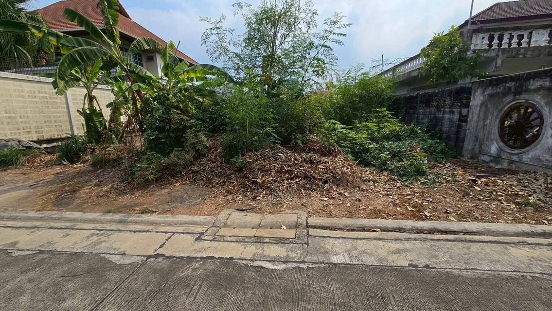 ขายด่วนที่ดินถนนเลี่ยงเมืองปากเกร็ด 96 ตรว ติดถนนสาธารณะปากเกร็ด นนทบุรี 5