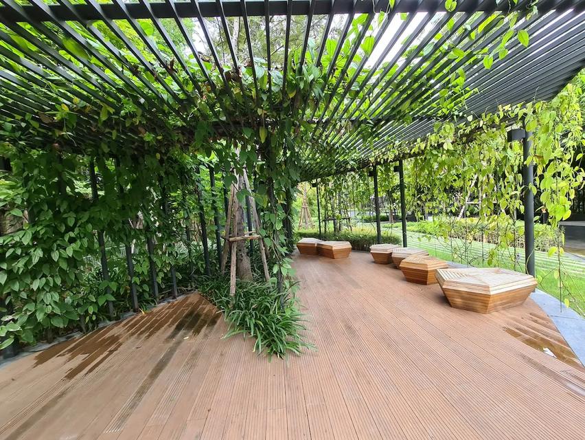 ให้เช่า คอนโด Whizdom Inspire สุขุมวิท ใกล้รถไฟฟ้า BTS ปุณณวิถี 6