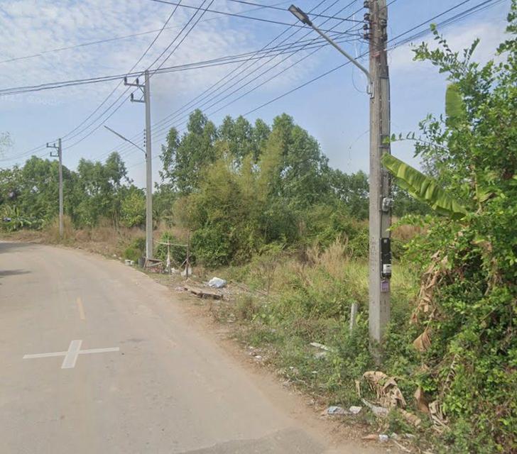 ขายที่ดินหัวหว้า 341 ตรว. ติดถนนคอนกรีต ใกล้ถนนเส้น3078-2.6กม. อ.ศรีมหาโพธิ ปราจีนบุรี 1