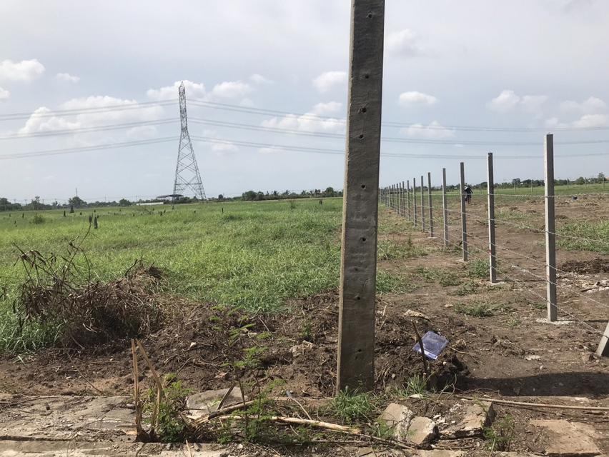 ขาย ที่ดิน ตรงข้าม โรงเรียนสารสาสน์วิเทศ บางบัวทอง นนทบุรี 3