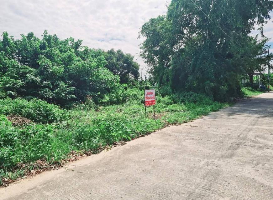 ขายที่ดินเปล่าชุมชนท่าม่วง จ.กาญจนบุรี 6