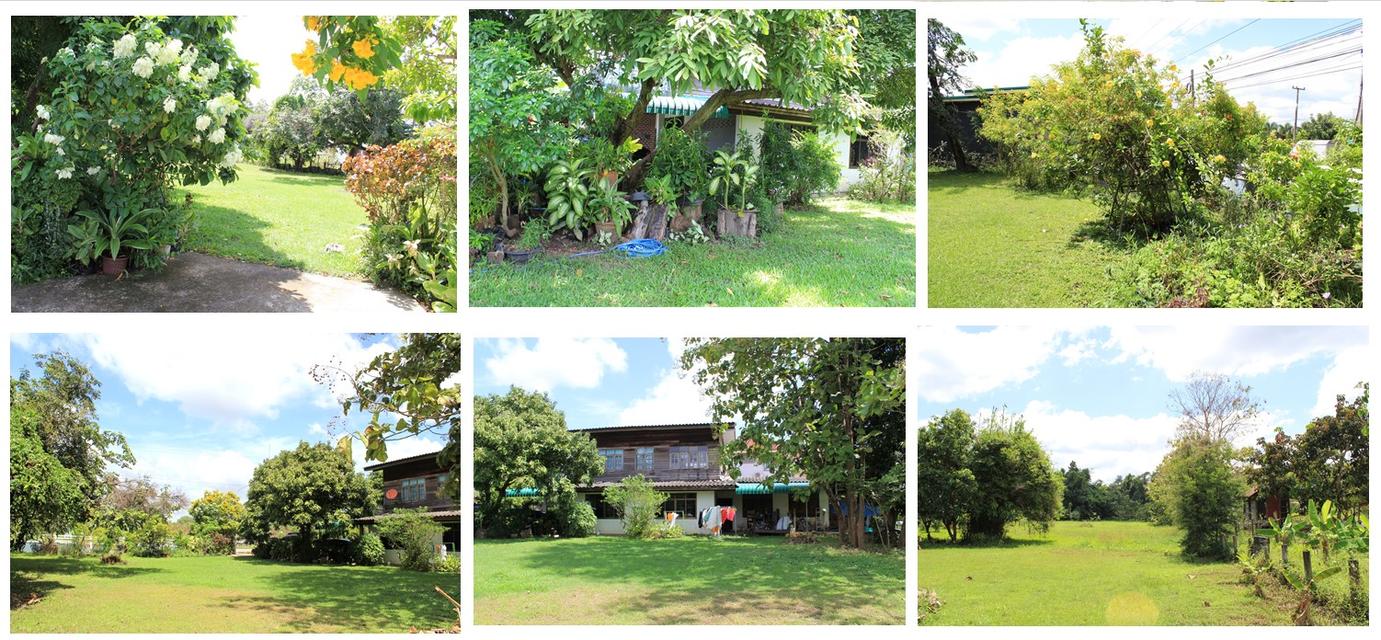 ชายด่วน บ้านพร้อมที่ดิน 4 ไร่ รายละเอียดตามไฟล์แนบ 2
