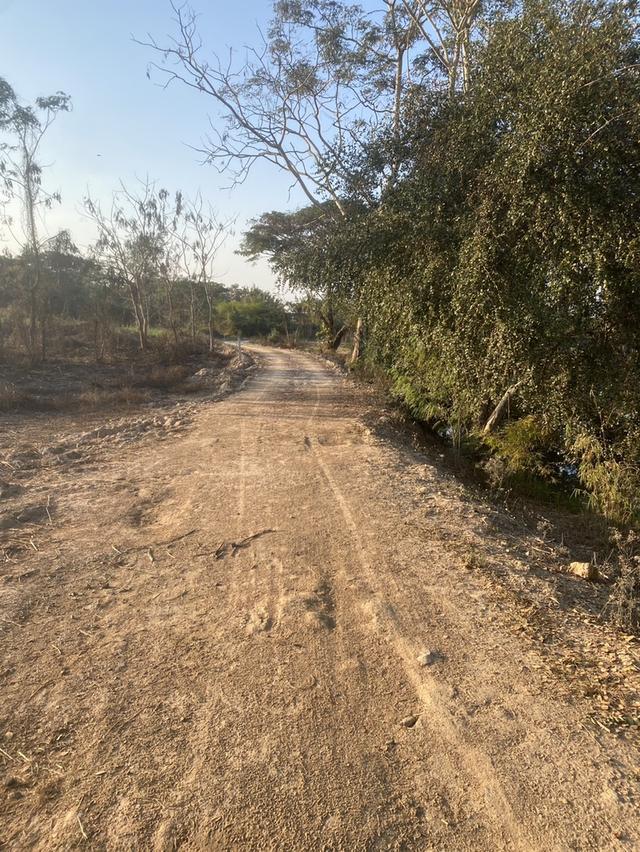 ขายที่ดิน 330 ตารางวา บ้านหม้อ ต.ห้วยทราย อ.สันกําแพง รูปย่อยที่ 2