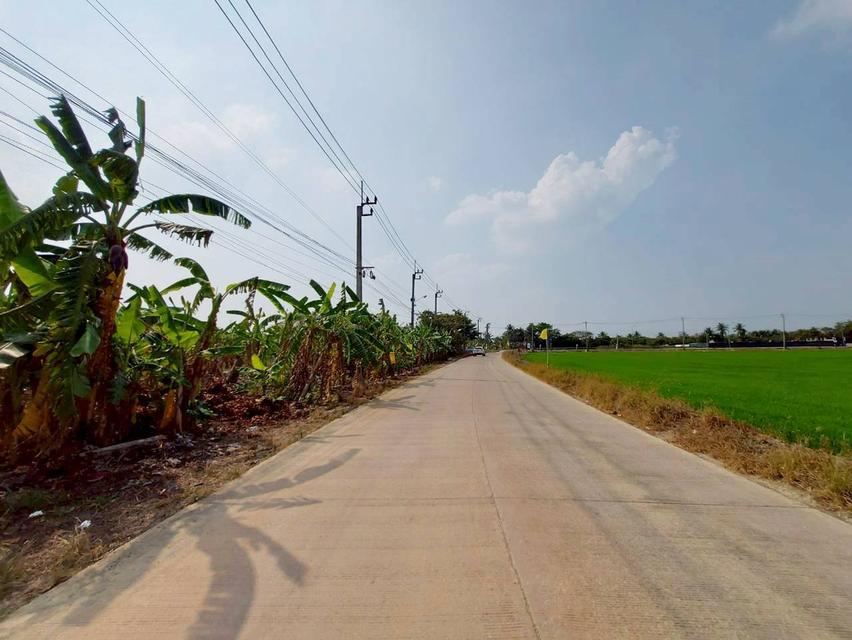 ขายที่ดินเปล่า ใกล้วัดต้นเชือก บางใหญ่ นนทบุรี 2