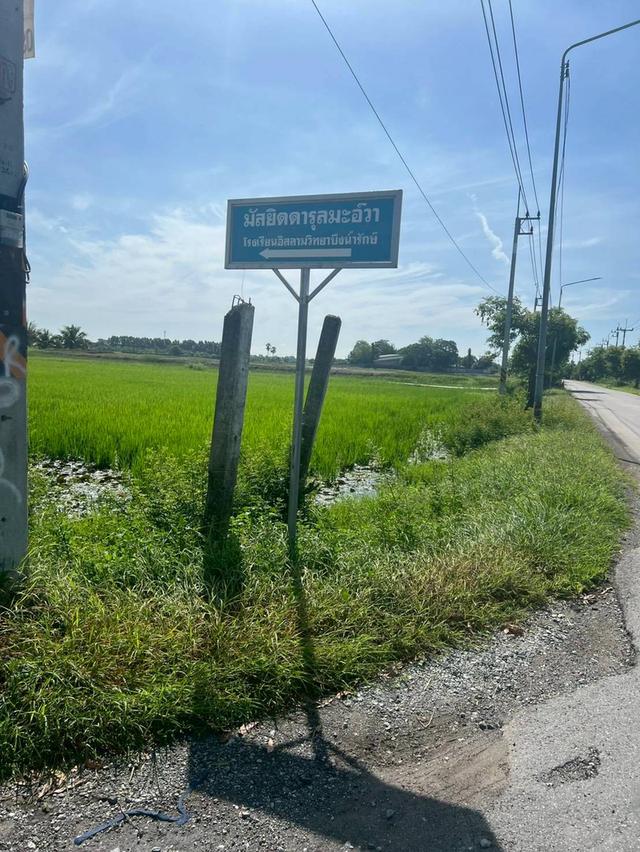 ขายที่ดินแปลงสวยบางน้ำเปรี้ยวฉะเชิงเทรา 7