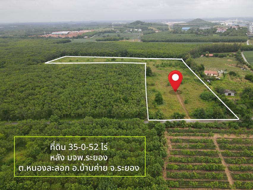 ขายที่ดิน ทำเลทอง ใจกลางนิคมฯ ระยอง 35-0-52 ไร่