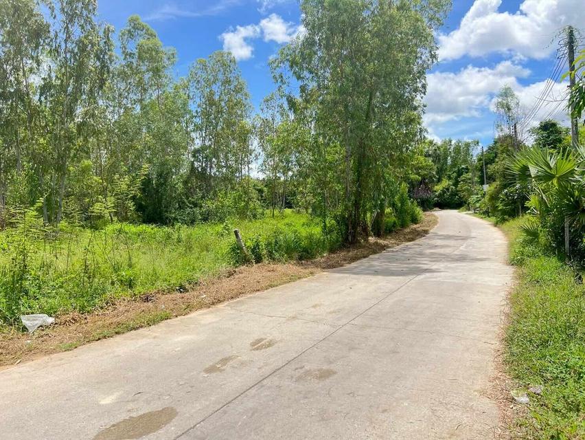 💥ขายที่ดินห้วยใหญ่ พัทยา เหมาะสำหรับลงทุน💥 8