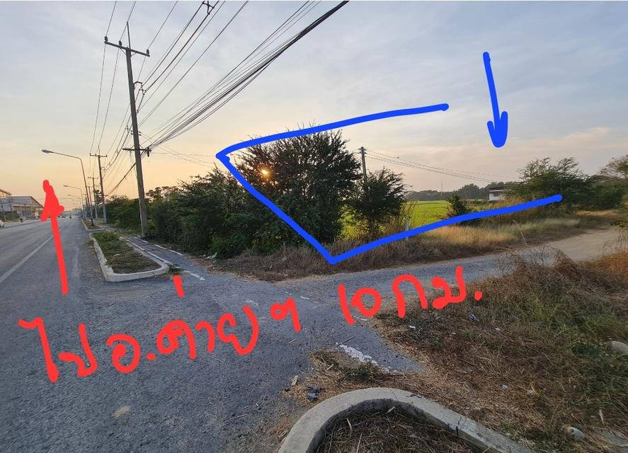 ที่ดินและสิ่งปลูกสร้าง 2