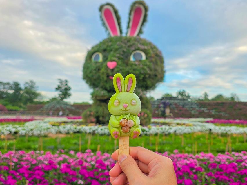 ทัวร์สูงวัย วัยเก๋า “กาญจนบุรี 2 วัน 1 คืน” รูปที่ 2