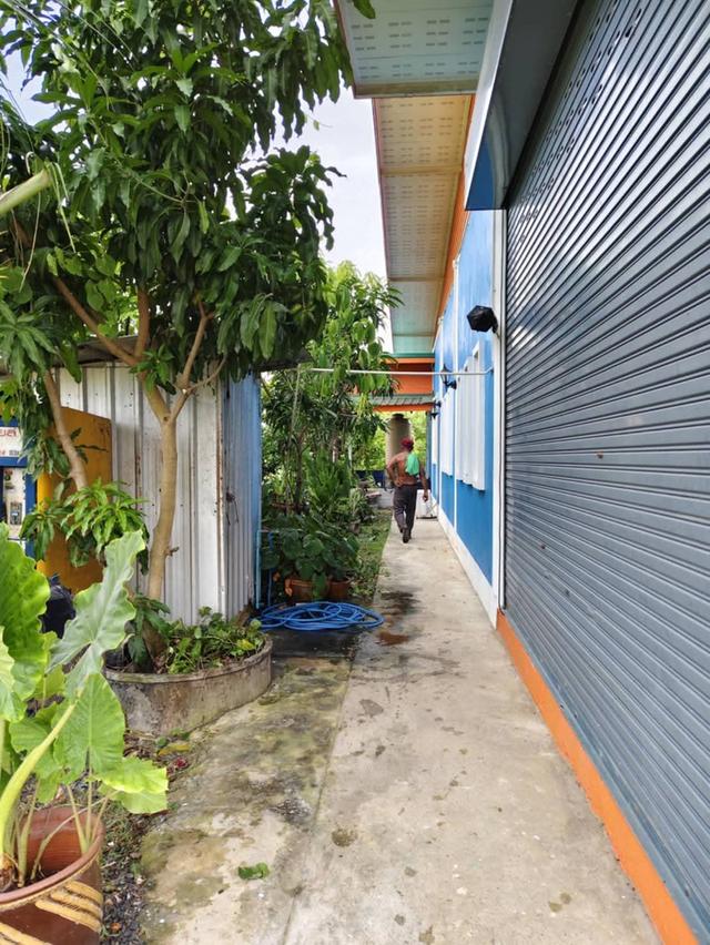 บ้านติดถนน 2 ด้าน พื้นที่ 200 ตร.วา เจ้าของขายเอง 10