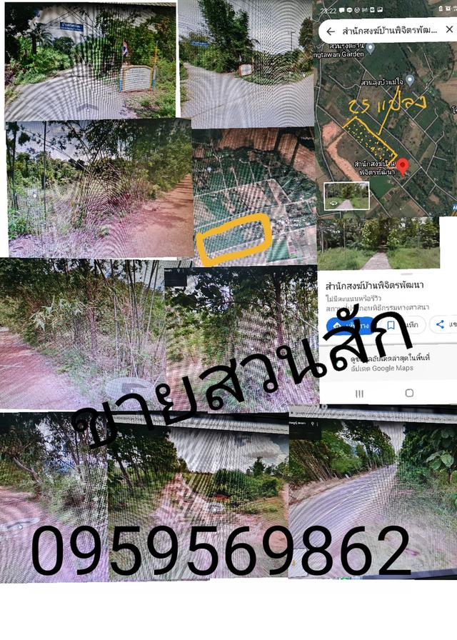 ขาย สวน 25 ไร่ ถ.พหลโยธิน  อ.แม่ใจ-เชียงราย