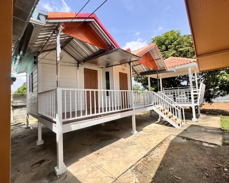 ขายบ้านสวนเนื้อที่ 1 ไร่ 38 ตรว.พร้อมบ้าน คลอง 11 อ.หนองเสือ จ.ปทุมธานี 13