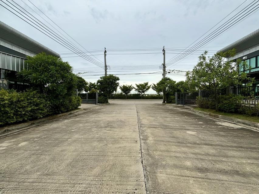 NO270โกดัง ให้เช่า บางนา เทพารักษ์ กม.25  โครงการ Prime Estate (ไพร์ม เอสเตท) 5