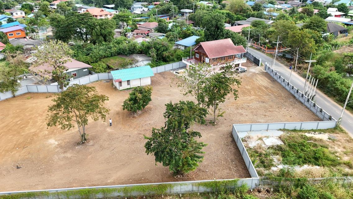 ให้เช่าที่ดิน อยุธยา ติด motorway m6 5