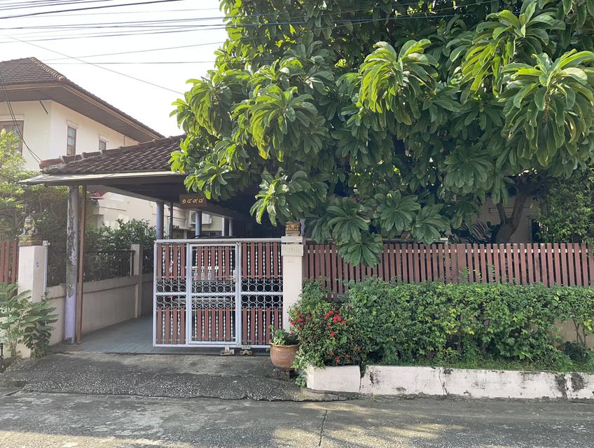  ขายบ้านเดี่ยวพร้อมอยู่  2