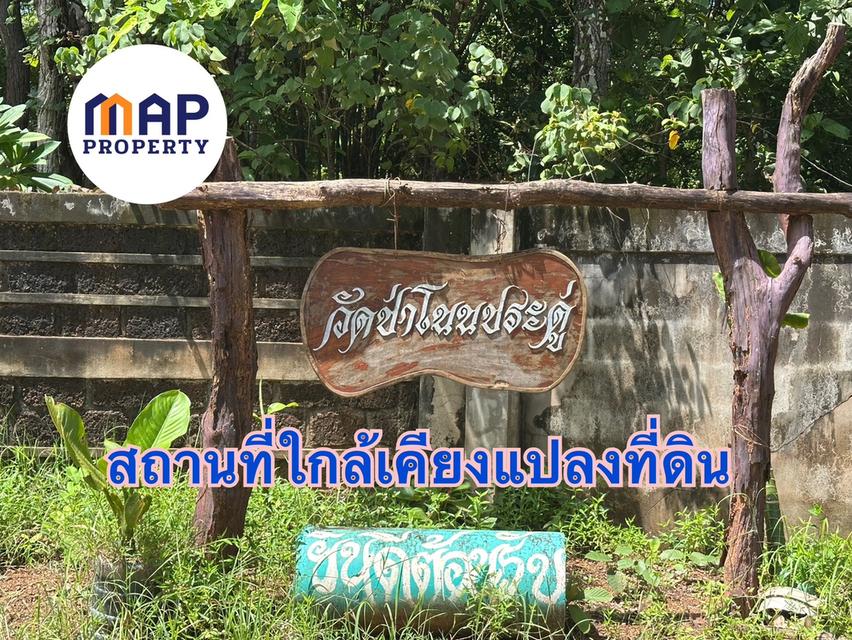 เปลี่ยนเงินฝากเป็นที่ดิน! แปลงสวย แปลงใหญ่ ใกล้ชิดธรรมชาติ ยิ่งเก็บยิ่งเพิ่มมูลค่า 6