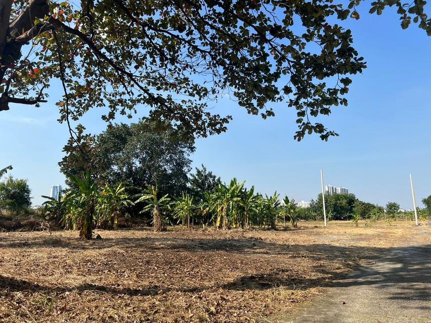 ขาย / ให้เช่า ที่ดินแปลงใหญ่ติดถนนพระราม 9 เนื้อที่ 7-2-85 ไร่ **เจ้าของขายเอง** 13