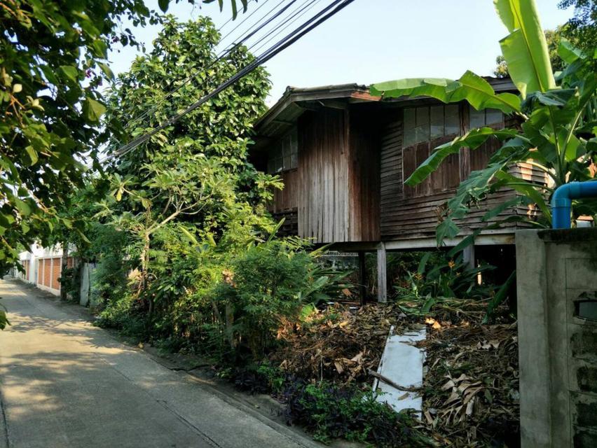 ขายที่ดินถมแล้ว พร้อมบ้านไม้เก่า กรุงเทพ-นนทบุรี 31- บางซื่อ ใกล้ รถไฟใต้ดิน MRT บางซ่อน 1