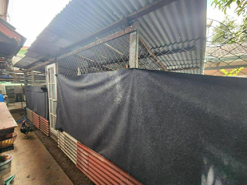 🏡 บ้านเดี่ยวทำเลสงบ ความเป็นส่วนตัวสูง บนพื้นที่กว้าง 71 ตร.วา  3 ห้องนอน 2 ห้องน้ำ 📍 ซอยพหลโยธิน 64 (หลัง รพ.บี.แคร์) | หมู่บ้านแข็งขัน 3 (งดงาม 3) 8