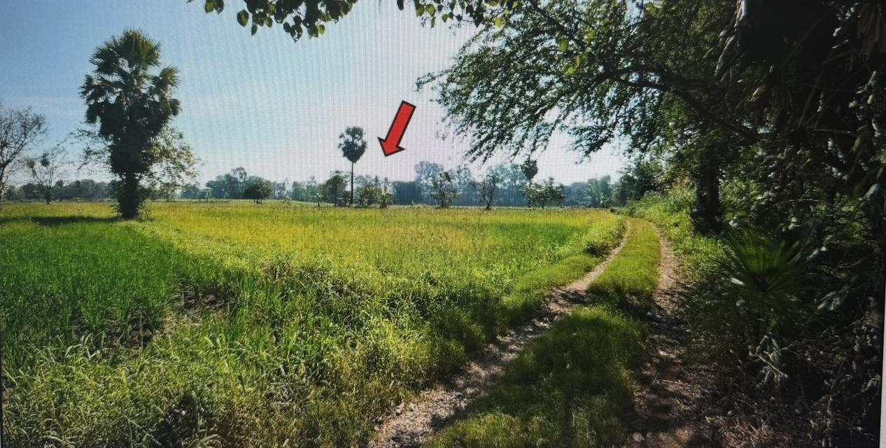 ขาย ที่ดินพร้อมสิ่งปลูกสร้าง โกดัง สำนักงาน 1 ชั้น พร้อมใบประกอบ รง.4 5