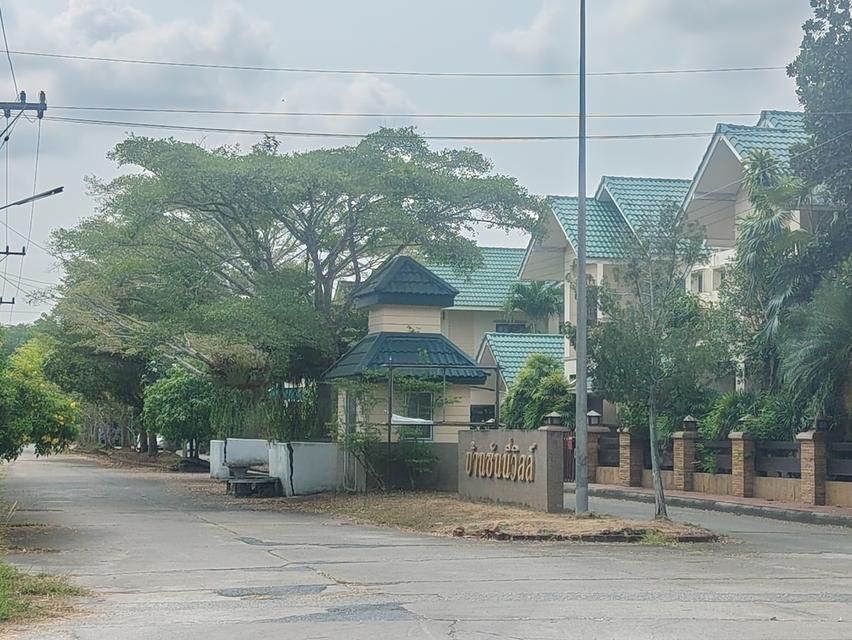 ขายบ้านเดี่ยว #ติดถนนหลัก หลังใหญ่ เนื้อที่ 3 งาน 43 ตรว. 🏠 ม.ซันนี่วิลล์ ซ.วัดประเดิม #เมืองชุมพร 💒 3 ห้องนอน 3 ห้องน้ำ 1ครัว ห้องโถงด้า 12