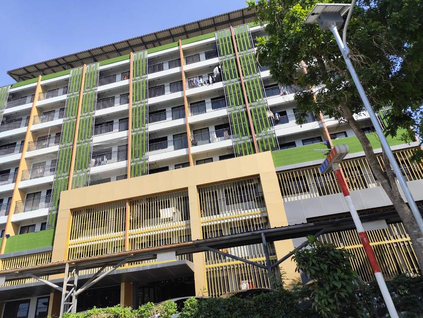 ขายที่ดิน เปล่า วิวธรรมชาติ กำแพงแสน นครปฐม ขายถูก 9