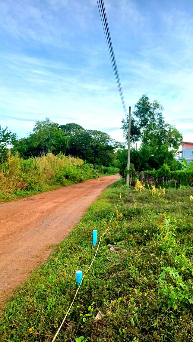 ขายที่ดิน 206 ตรว. ใกล้ถนน 340 บางบัวทอง-สุพรรบุรี ซ. ไปรษณีย์ จากปาก ซ.ไปรษณีย์เข้าไปยังแปลงที่ดิน 400 เมตร สามารถเดินทางเข้าออกได้อีกทาง ซ.สดใจ 4