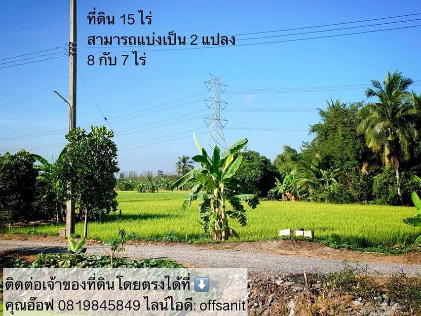 ขายที่ดิน 15 ไ่ร่ ไทรน้อย  2