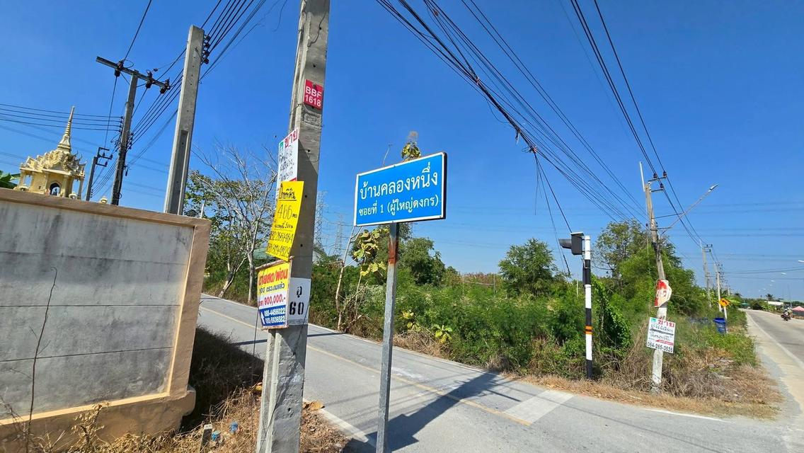 ขายด่วนที่ดินผังสีม่วง 466 ตารางวา ติดถนนลาดยาง สาธารณะถนน นบ.3015 ไทรน้อย นนทบุรี 2