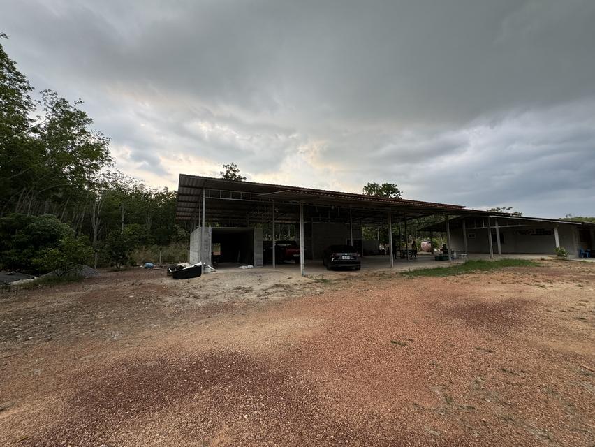 บ้านหลังใหญ่ พร้อมทุเรียน4ปี และสวนยางพารา 12