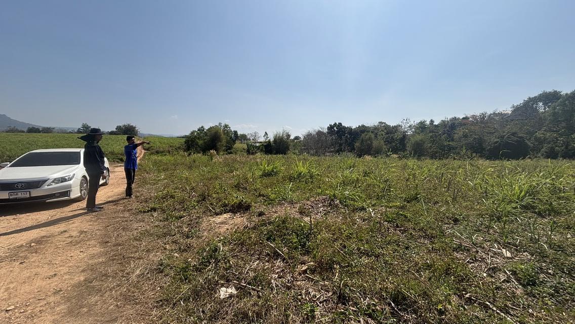 ที่ดิน เปล่า อยู่ติดถนน 304 เพียง 5 นาที วิวสวย บนภูเขา วังน้ำเขียว 10