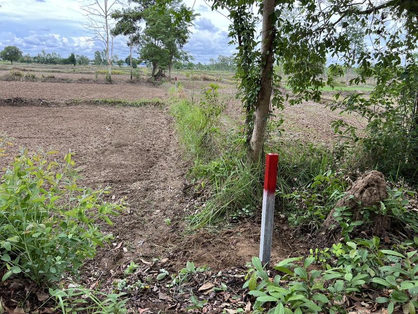 เจ้าของขายเอง ไม่ผ่านนายหน้า !!! ที่ดินทำเลทอง พร้อมโอนทันที  ไม่ติดภาระ  7