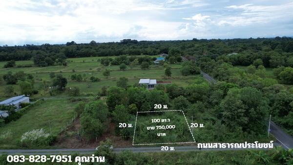 ขายที่ดิน 100 ตารางวา มีโฉนด ตำบลพรหมณี ใกล้สนามกอล์ฟ (จปร.) ติดถนนสาธารณ วิวเขา ขายถูก 14
