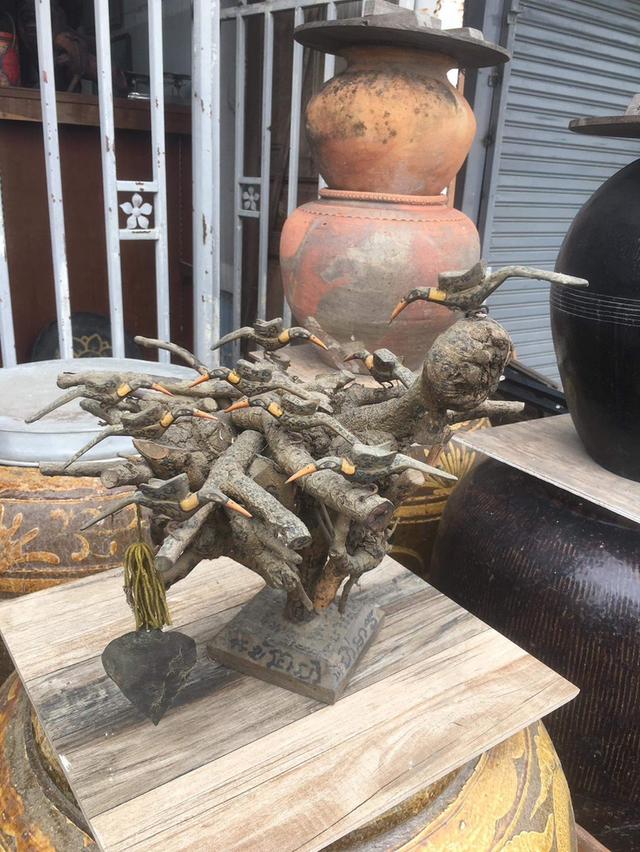 ช่อไม้กาฝากเพกา ช่อใหญ่ พร้อมฝูงนกคุ้ม นกสาริกาฝูงใหญ่ ช่อไม้กาฝาก (ลิ้นฟ้า)