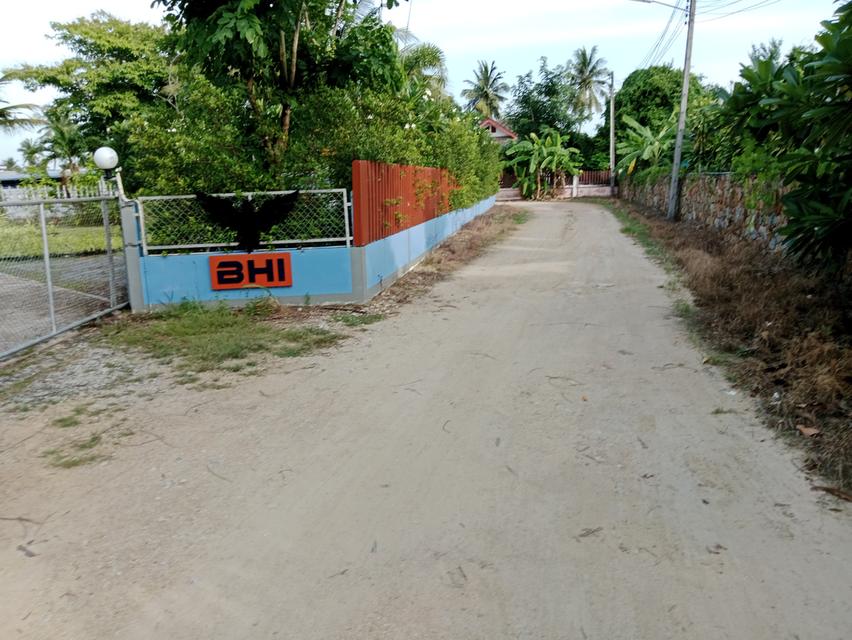 ขายบ้านตะเคียนเตี้ยจำนวน 1 ไร่บ้านพร้อมสิ่งปลูกสร้าง 17
