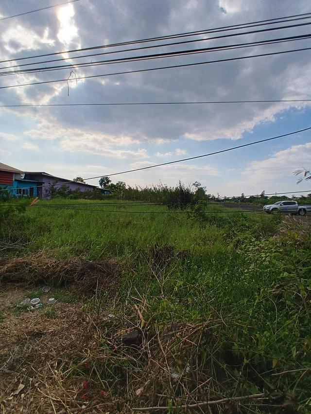 ที่ดิน 10 ไร่ 2 งาน 90 ตารางวา หนองเสือ ปทุมธานี ติดถนนเลียบคลอง10ฝั่งตะวันตก 2