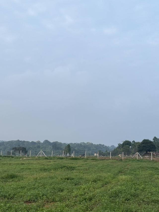 ที่ดินเเบ่งขาย วิวบนเขามีน้ำในเเปลง คมนาคมสะดวก ลานกางเต้นท์