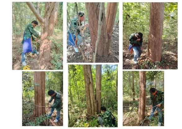 ขายด่วนที่ดิน 5 ไร่ แม่แตง เชียงใหม่ 4