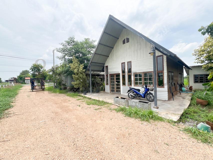 ขาย ที่ดินจัดสรร ลำลูกกา คลอง16 องครักษ์ 12