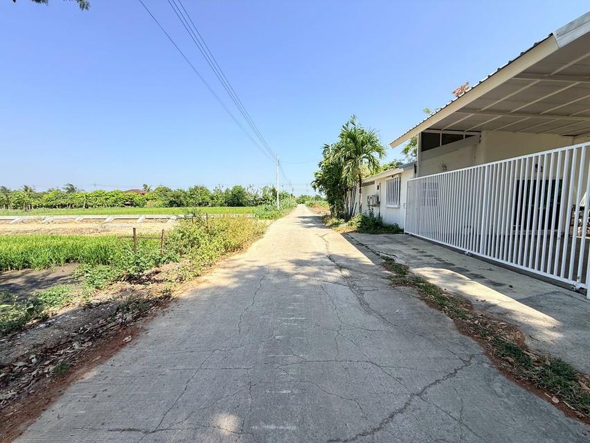 ขายด่วนที่ดิน 100 ตรว ติดถนนคอนกรีต ซ.เคหะการเกษตร1 ไทรน้อย นนทบุรี 3