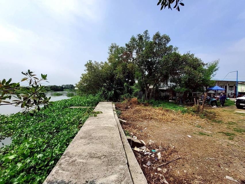 ขายที่ดินใกล้วัดเสด็จ 73 ตรว ติดถนนคอนกรีต ด้านข้างติดคลอง ซ.บ้านลาน สวนพริกไทย เมืองปทุมธานี 6