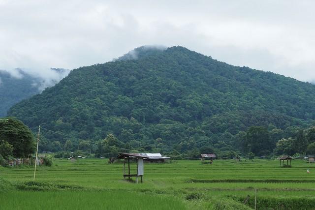 ที่ดินแปลงสวย...วิวดอยภูคา...ใกล้แหล่งท่องเที่ยวชื่อดัง ...อ.ปัว 6