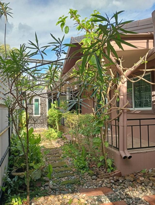 ขายบ้านเดี่ยวสไตส์บ้านสวน เชียงใหม่ สันกำแพง 10