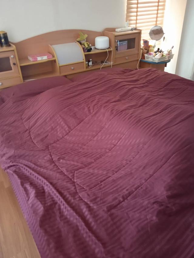 ขายบ้านในหมู่บ้านพฤกษ์ลา ปิ่นเกล้า สายห้า 4